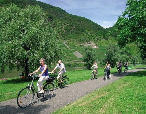 Fietsers onderweg